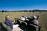 Botswana Game Drive with vacationtechnician.com