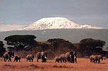Mt. Kilimanjaro with vacationtechnician.com